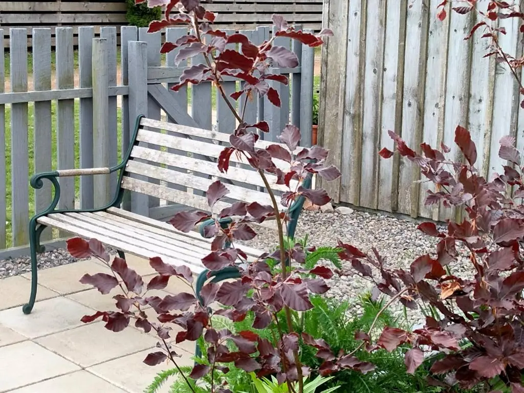 a bench in a garden next to a fence at Small cosy bothy in Dingwall