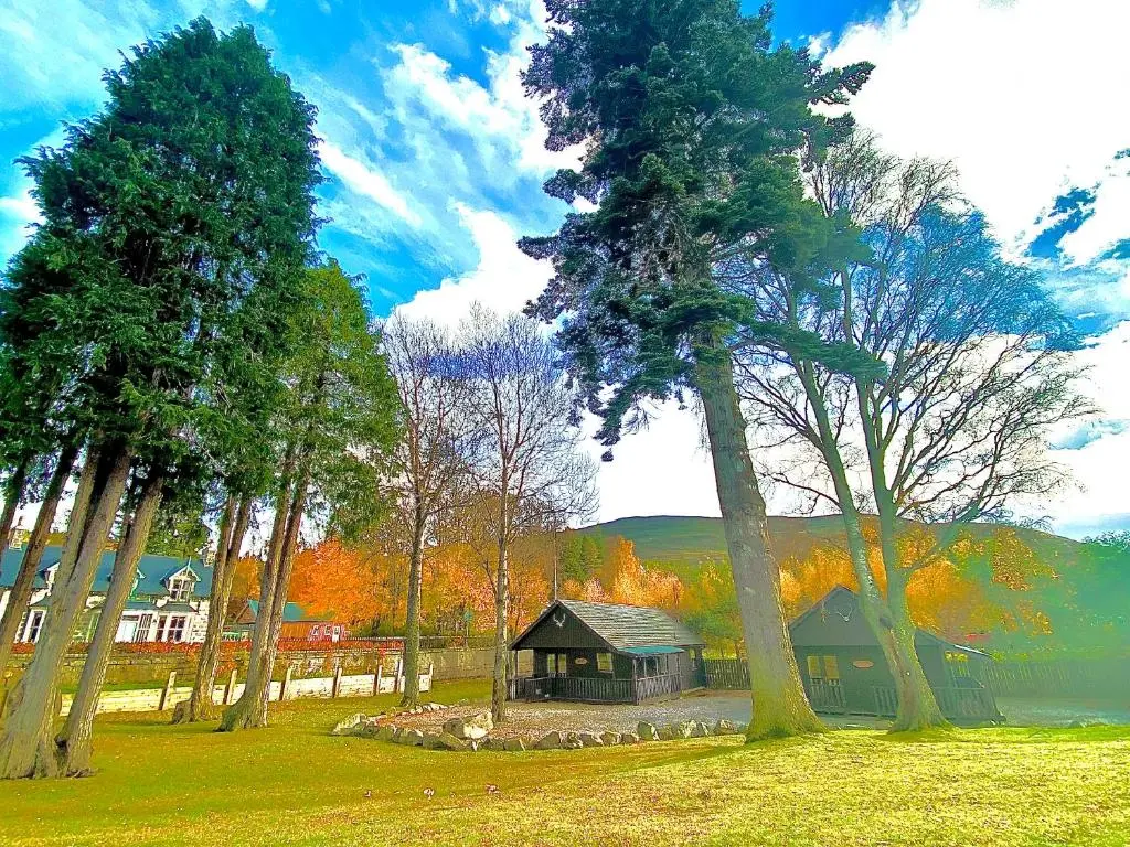 a small cabin in the middle of some trees at Braemar Lodge Cabins Not for profit in Braemar