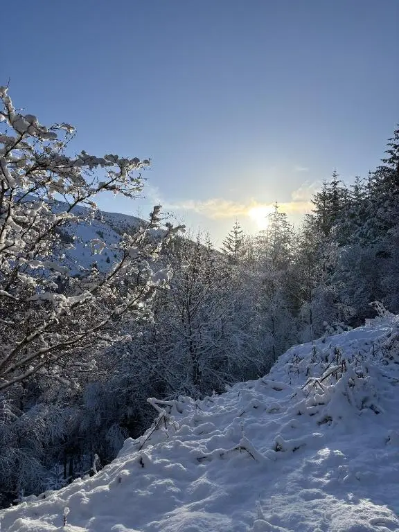 a snow covered path with trees and the sun in the background at Bright Star Lodge in Spean Bridge