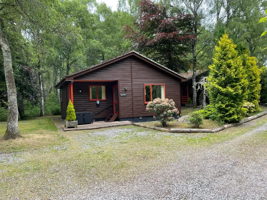 a small cabin in the woods with a driveway at Tullochwood Lodges in Forres