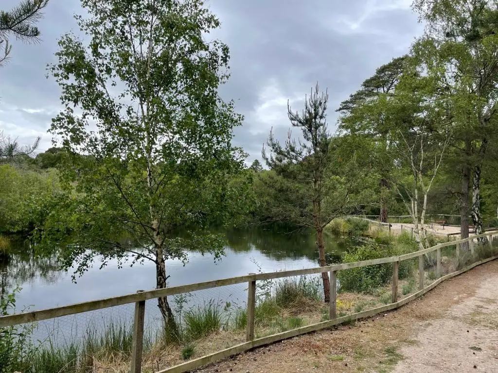 a fence next to a river next to a bridge at Tullochwood Lodges in Forres