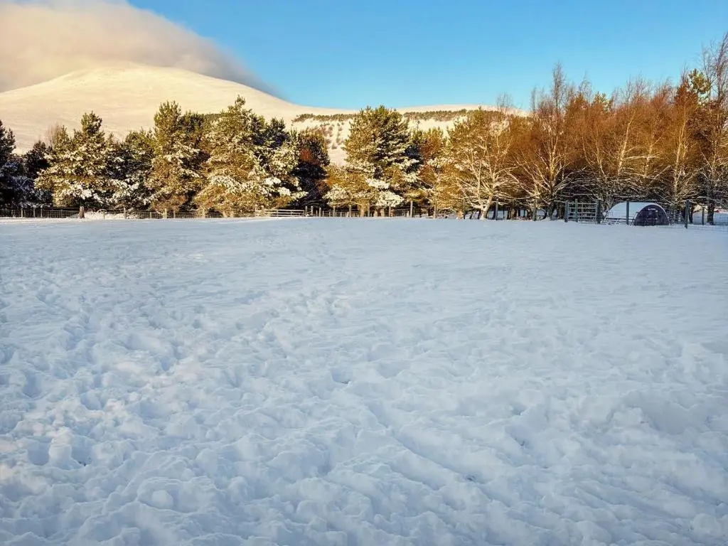 a snow covered field with trees and a mountain at Woodside Cottage in Auchnastank
