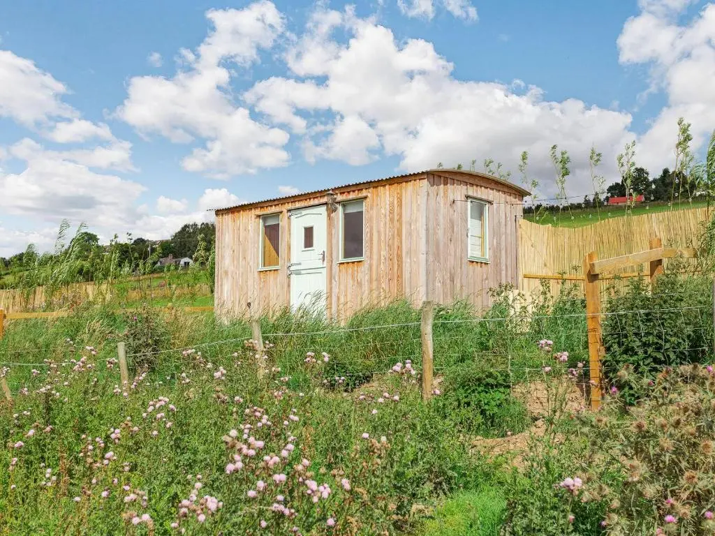 a small wooden shack in a field with a fence at Woodside Hut 2 - Uk36106 in Auchterneed