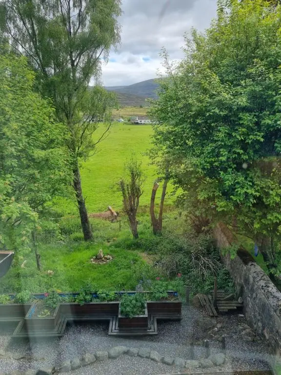a view of a field with trees and benches at Dalwhinnie Old School Hostel in Dalwhinnie