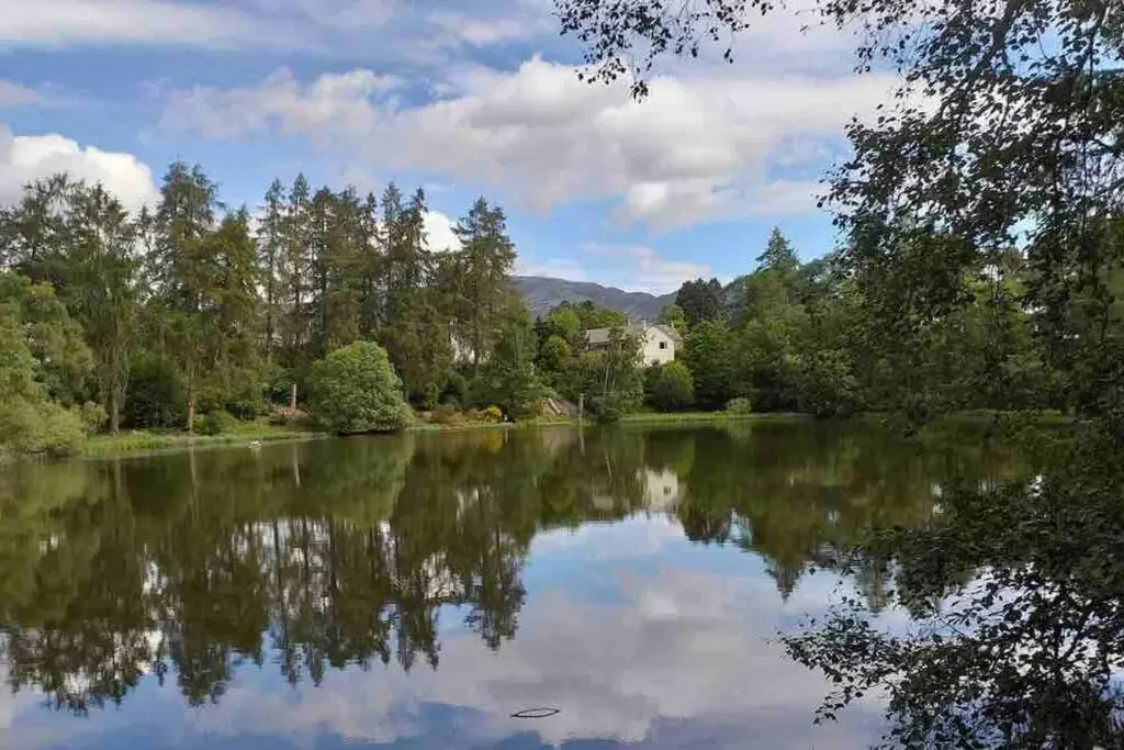 a view of a lake with trees and a house at The Beeches Studio, Highlands of Scotland in Newtonmore