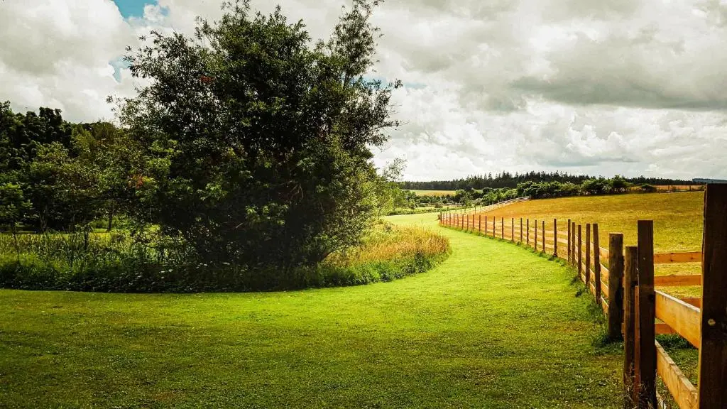 a fence with a tree on the side of a field at Marcassie Farm Lodges - Birch Studio in Forres