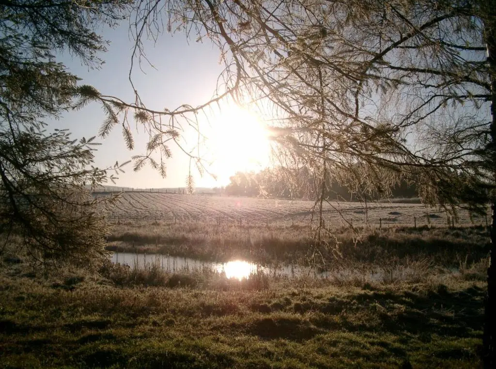 a field with the sun reflecting in the water at Marcassie Farm Lodges - Hazel Studio in Forres