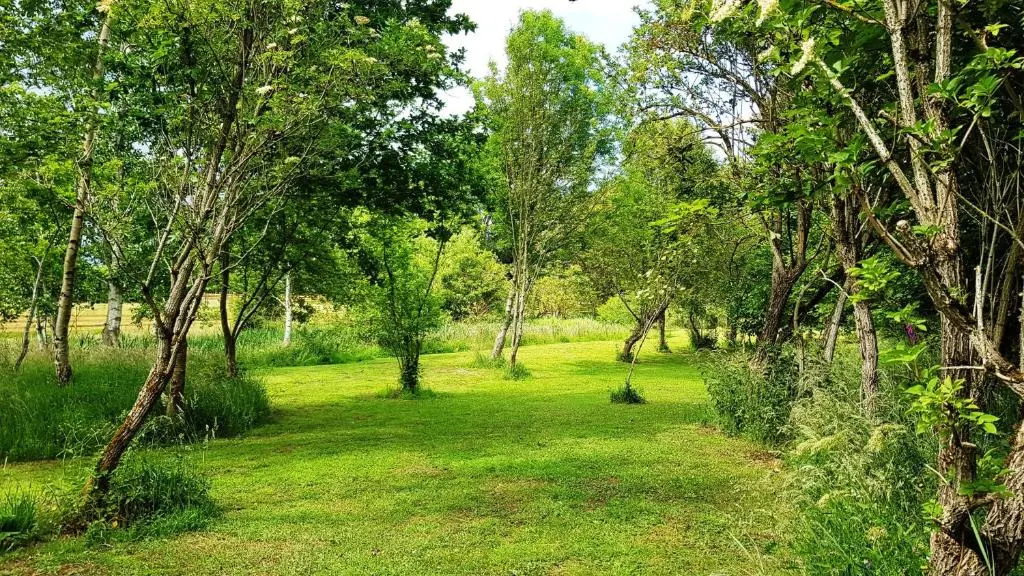 a path through a park with trees and grass at Marcassie Farm Lodges - Ash Studio in Forres