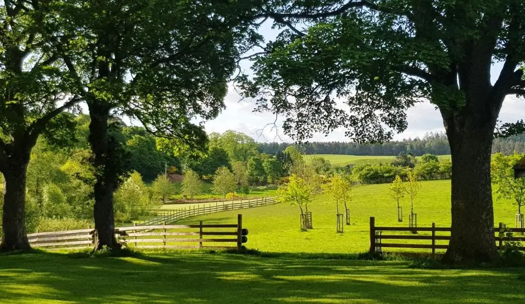 two benches in a field with trees and a fence at Marcassie Farm Lodges - Ash Studio in Forres