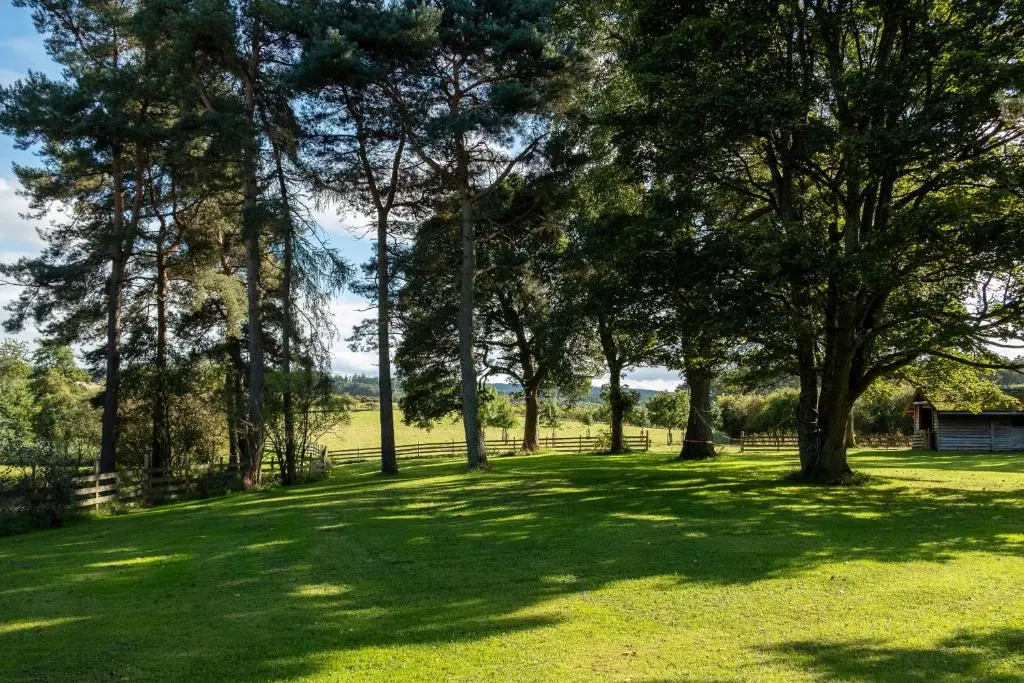 a field of grass with trees and a fence at Marcassie Farm Lodges - Oak Studio - Accessible in Forres