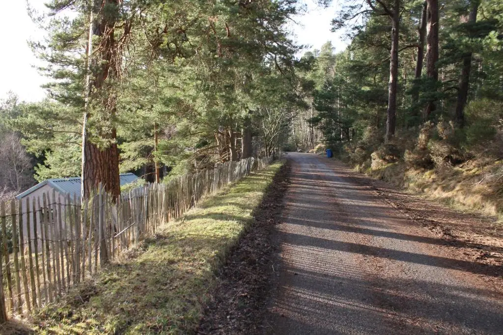 a tree lined road with a fence and trees at Wester Curr Cottage - Luxury 5-Star Cottage with Private Pool & Hot Tub in Grantown on Spey