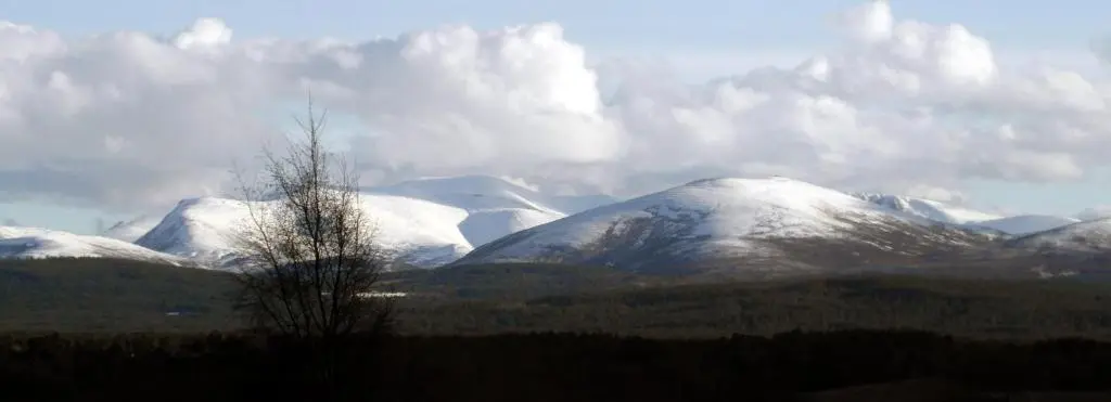 a snow covered mountain range with a tree in the foreground at Wester Curr Cottage - Luxury 5-Star Cottage with Private Pool & Hot Tub in Grantown on Spey