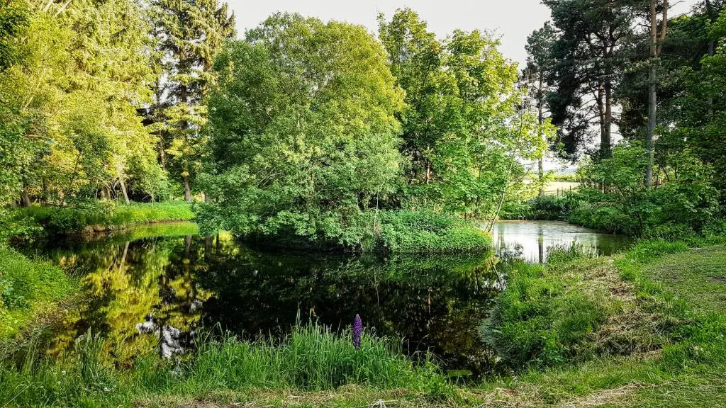 a body of water with trees and grass and a river at Marcassie Farm Lodges - Blackthorn Studio in Forres