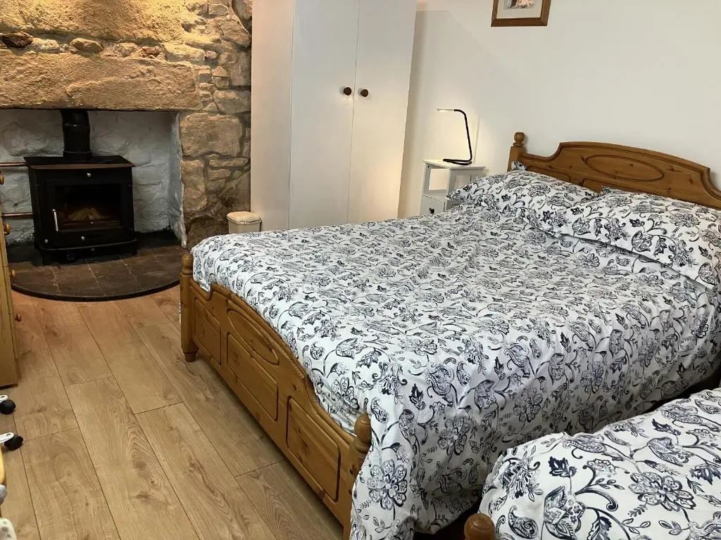 a bedroom with two beds in front of a fireplace at 3 Dunrobin Street in Tain