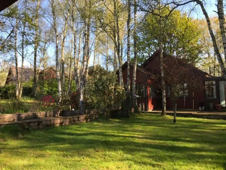a house in a yard with trees and green grass at Pine Chalet in Muir of Ord