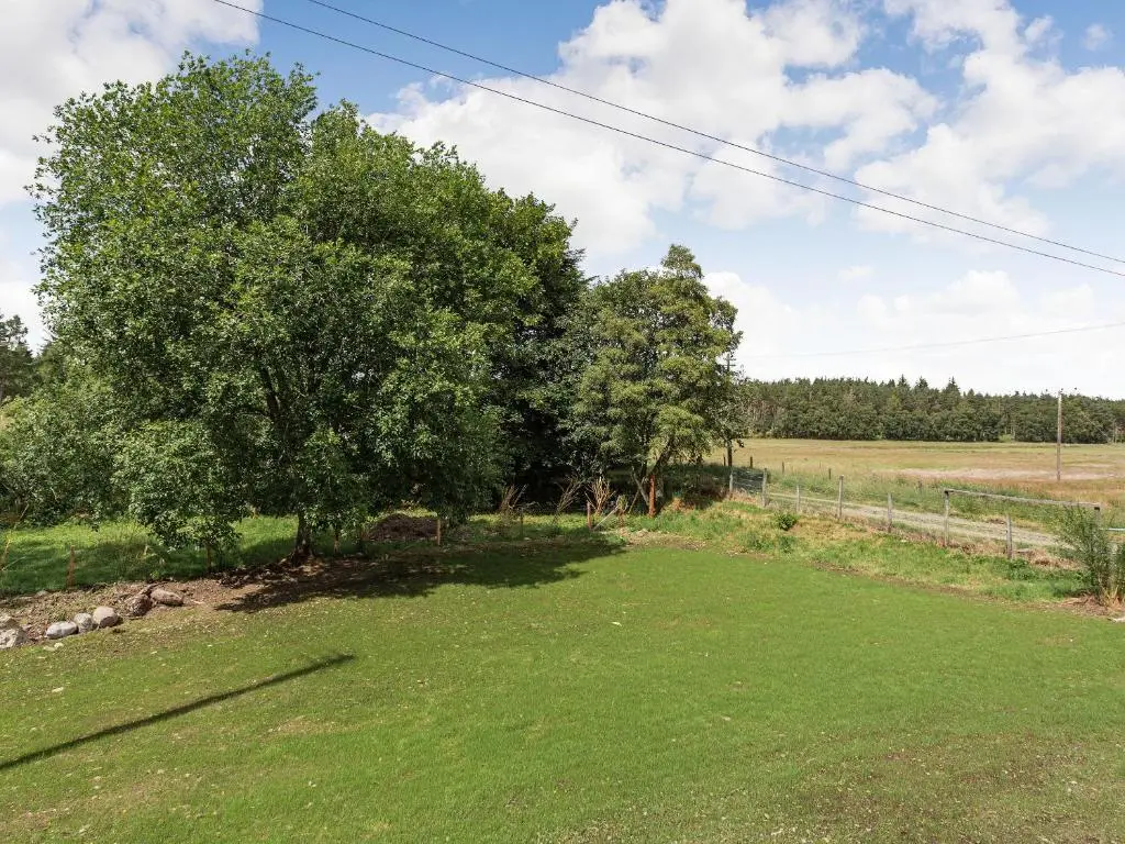 a tree in the middle of a grass field at New Cottage in Farr