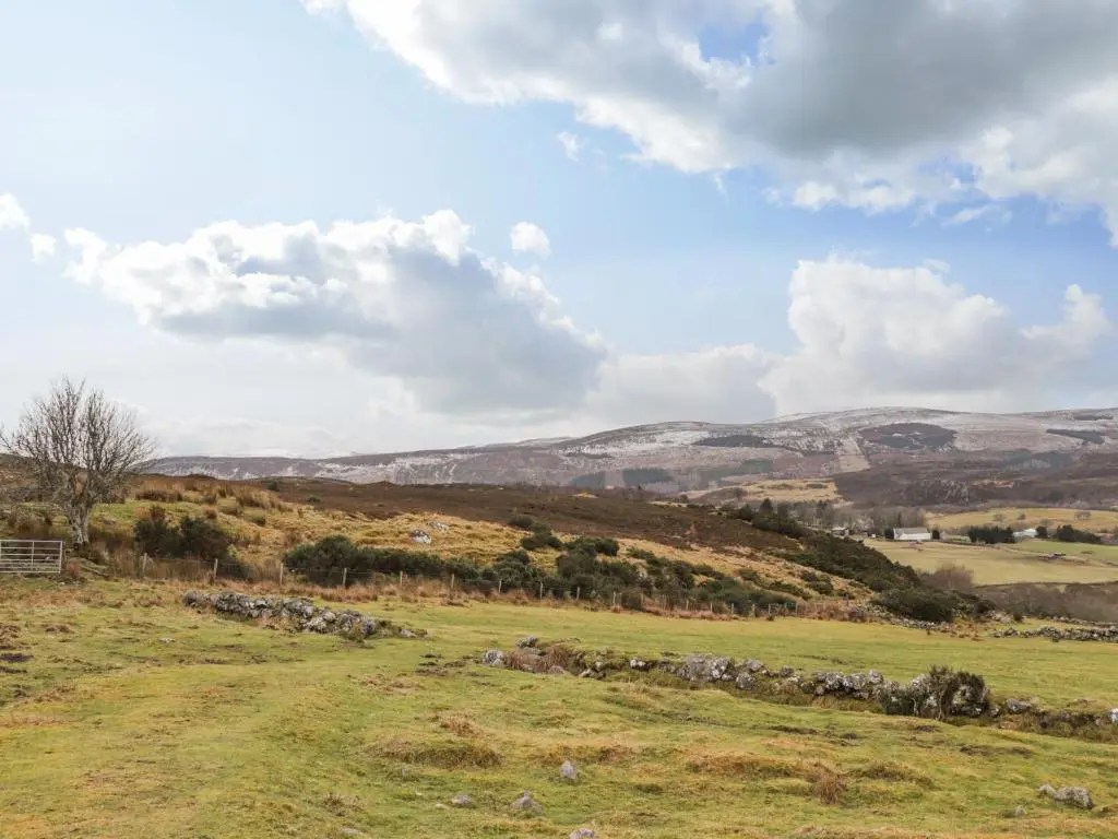 a herd of sheep in a field with mountains in the background at Sealladh Mor in Rogart