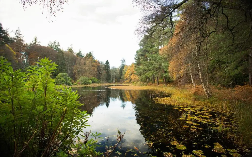 a river with reflections of trees in the water at The Bungalow in Elgin