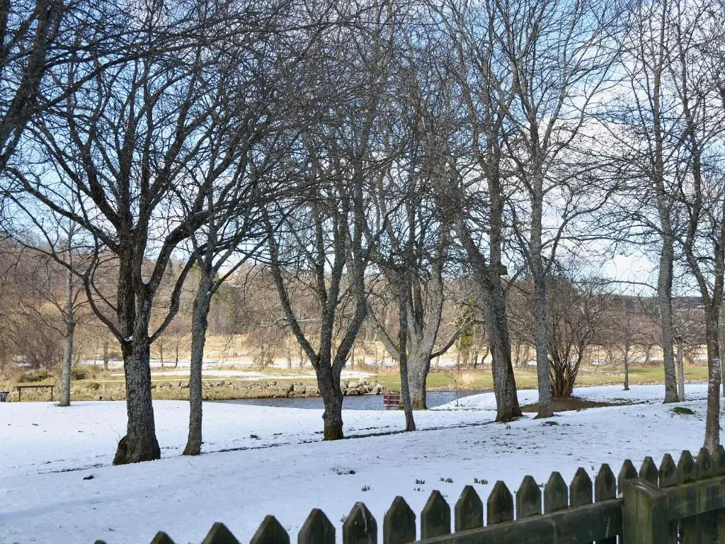 a snow covered park with trees and a fence at Haugh House in Aberlour