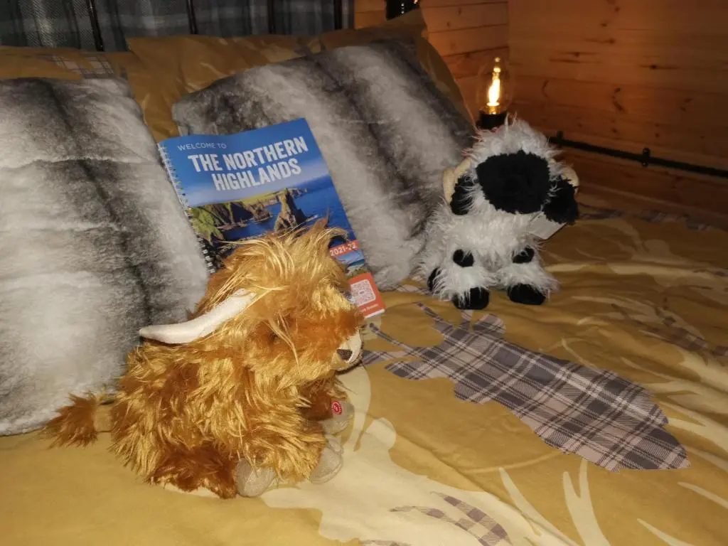 two stuffed animals sitting on a bed with a book at Achmeney Glamping larger than Average pod in Halkirk