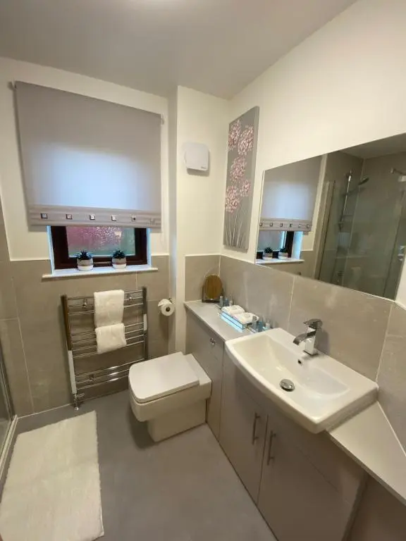 a bathroom with a sink and a toilet and a mirror at discoverNESS Apartment in Inverness