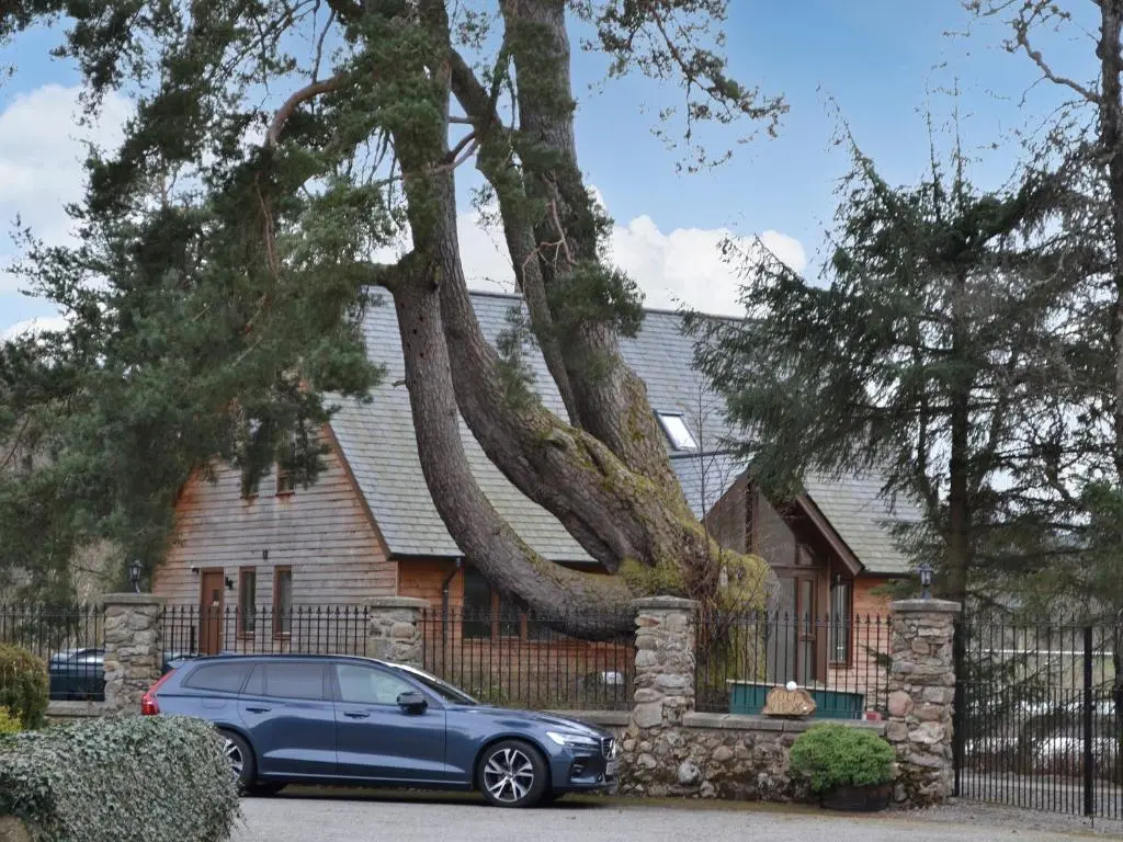 a blue car parked in front of a house with a tree at Golf View in Aboyne