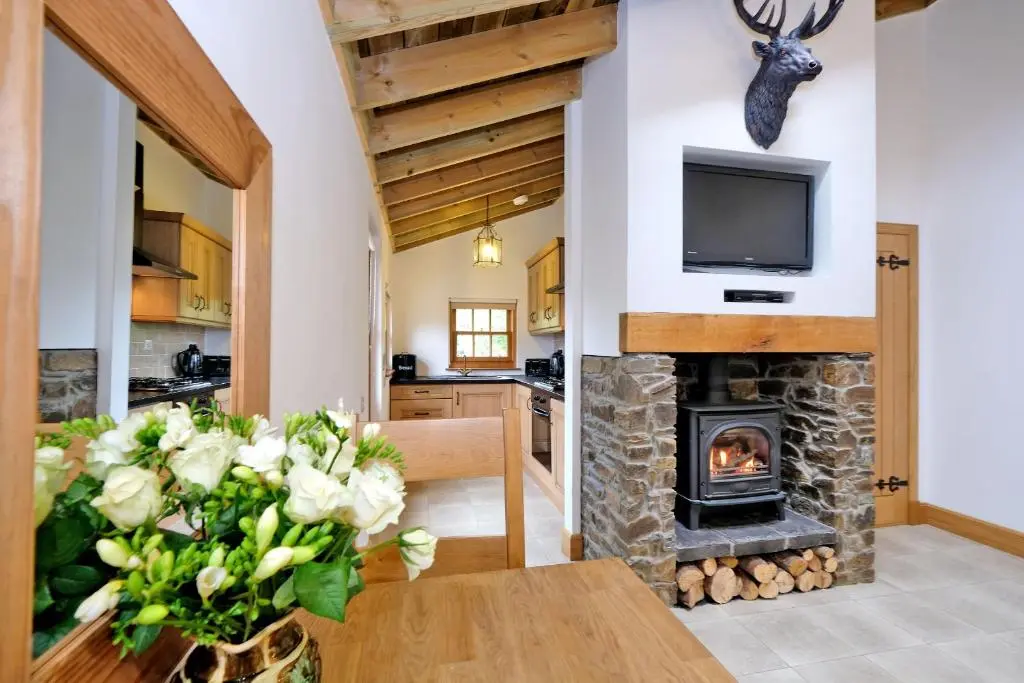 a living room with a fireplace and a television at Entire unique tiny house - Moss Cabin in Banff