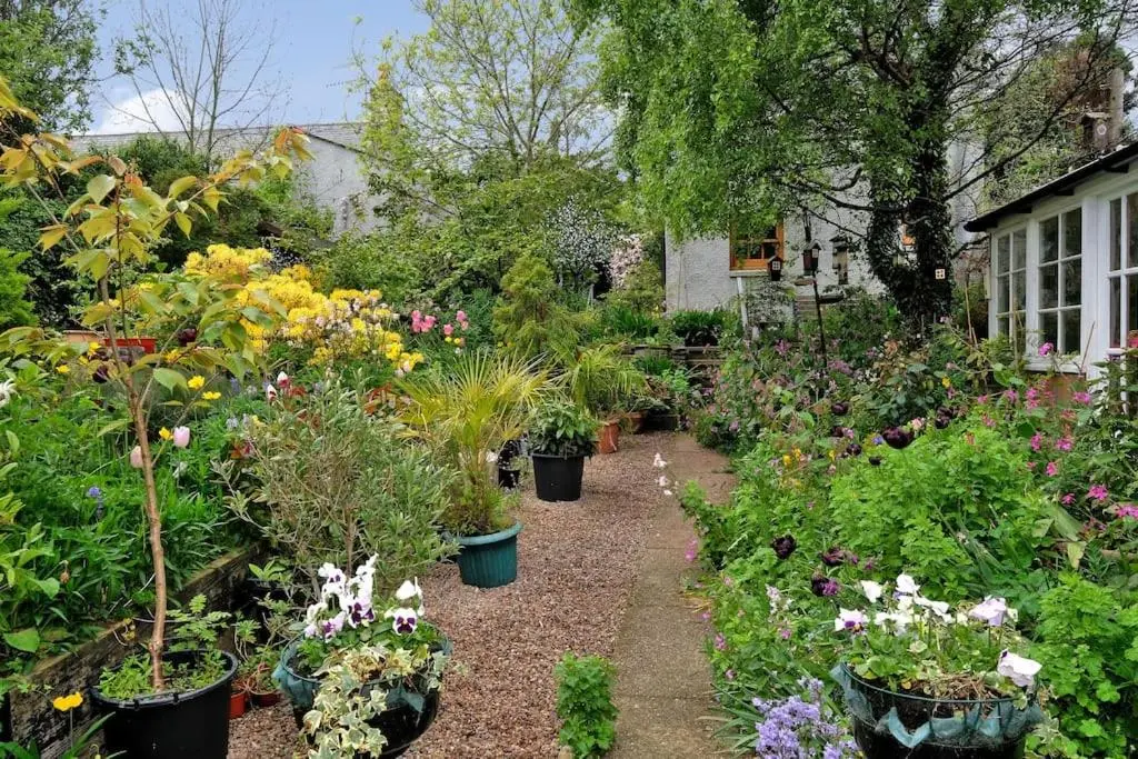 a garden filled with lots of plants and flowers at Entire unique tiny house - Moss Cabin in Banff