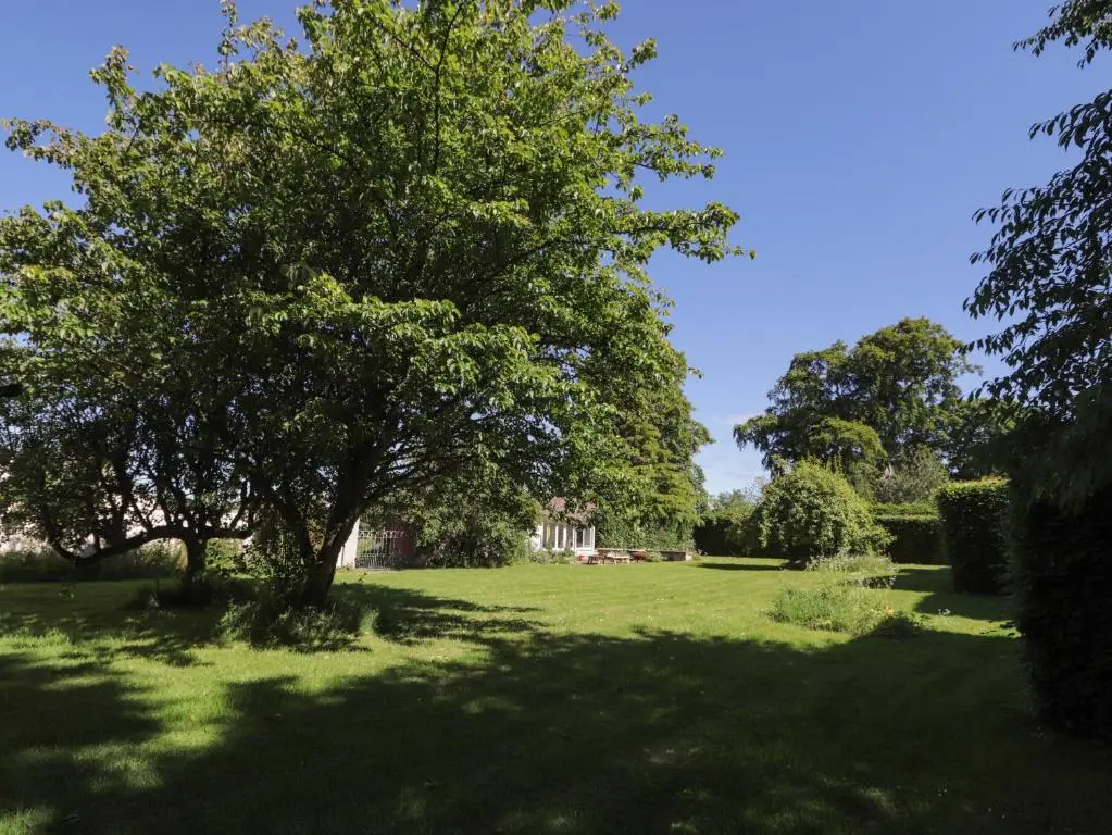 a tree in the middle of a green field at Garden Cottage in Elgin