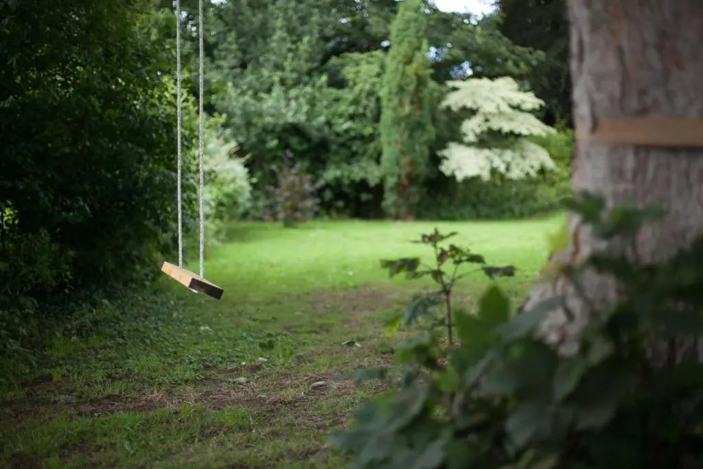 a swing in the middle of a yard at Beautiful Listed Mansion with incredible woodland views in Huntly