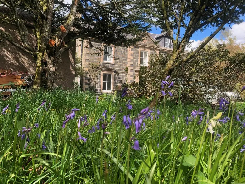 a field of purple flowers in front of a house at Beautiful Listed Mansion with incredible woodland views in Huntly