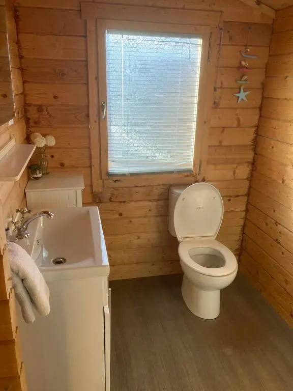 a bathroom with a toilet and a sink and a window at Log Cabin in the City with hot tub in Culloden