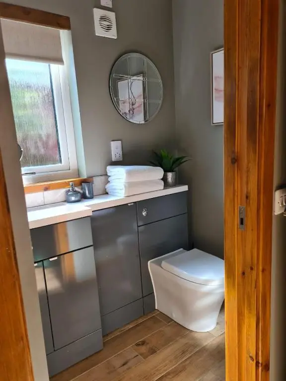 a bathroom with a toilet and a sink and a mirror at The Hide in Ullapool