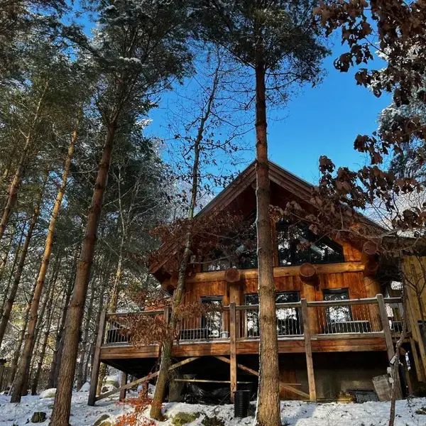 Pine Marten Lodge
