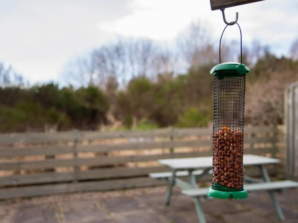 a bird feeder with nuts on it hanging over a picnic table at Redburn Steading in Nairn