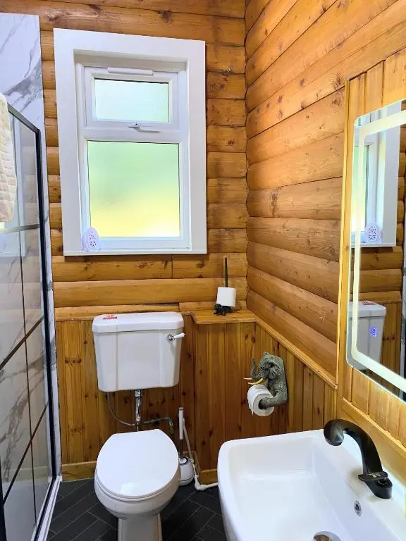 a bathroom with a toilet and a sink and a window at Kaoglen Squirrel Drey-Hot Tub-Pet Friendly-Perth in Balnald