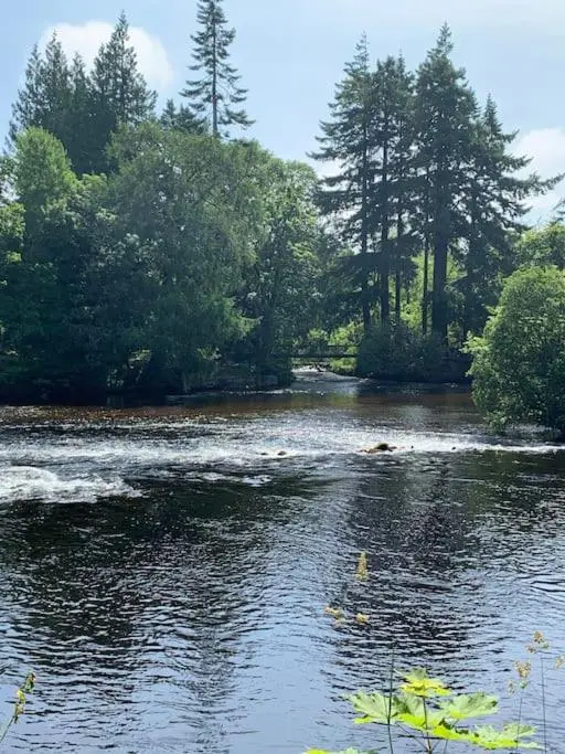 a river with trees on the side of it at Stylish apartment in the heart of Inverness in Inverness