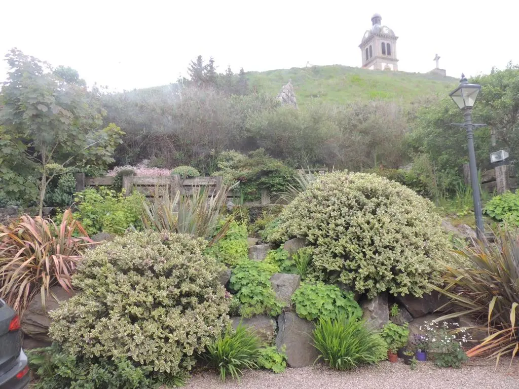 a garden with bushes and a house on a hill at Braeview Studio in Macduff