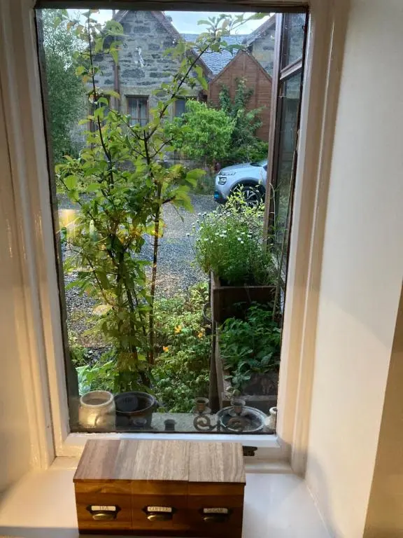 a window looking out at a garden with a tree at Uist Cottage in Kingussie