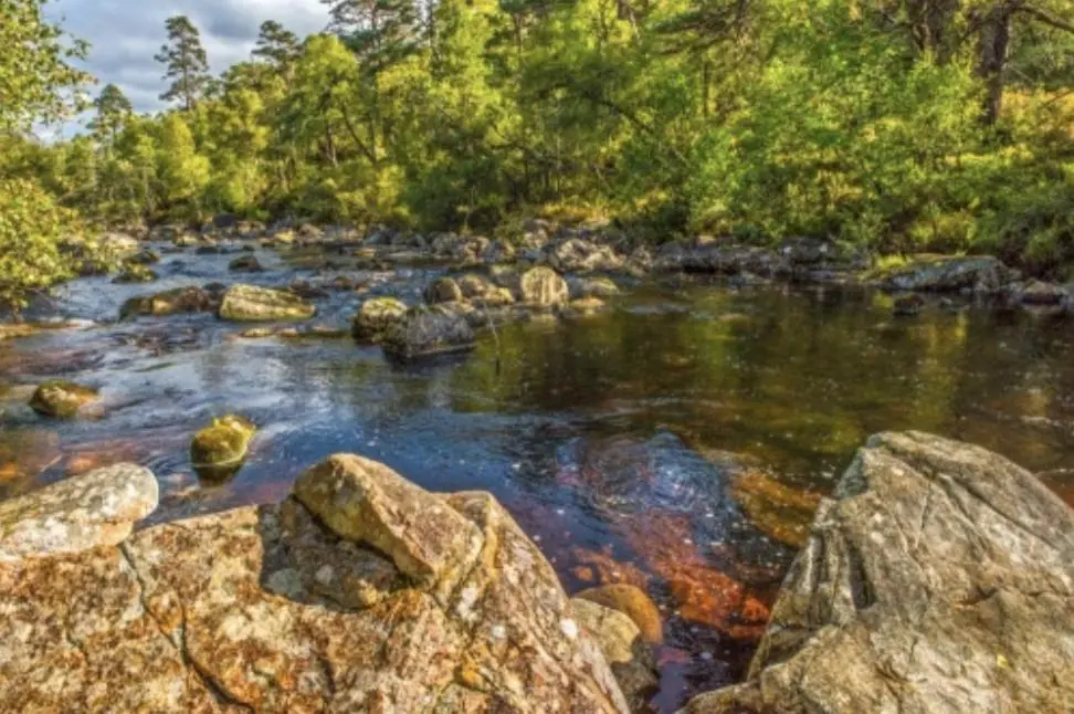 a river with rocks and trees in a forest at The Castle Front Nest in Inverness