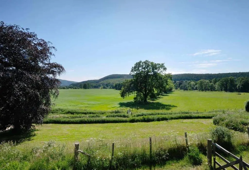 a large green field with a tree in the middle at Mains of Orton in Fochabers