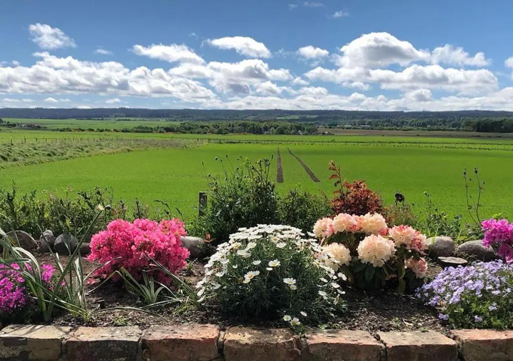 a garden with colorful flowers and a green field at The Tower, Moray Firth Holiday Home in Kinloss