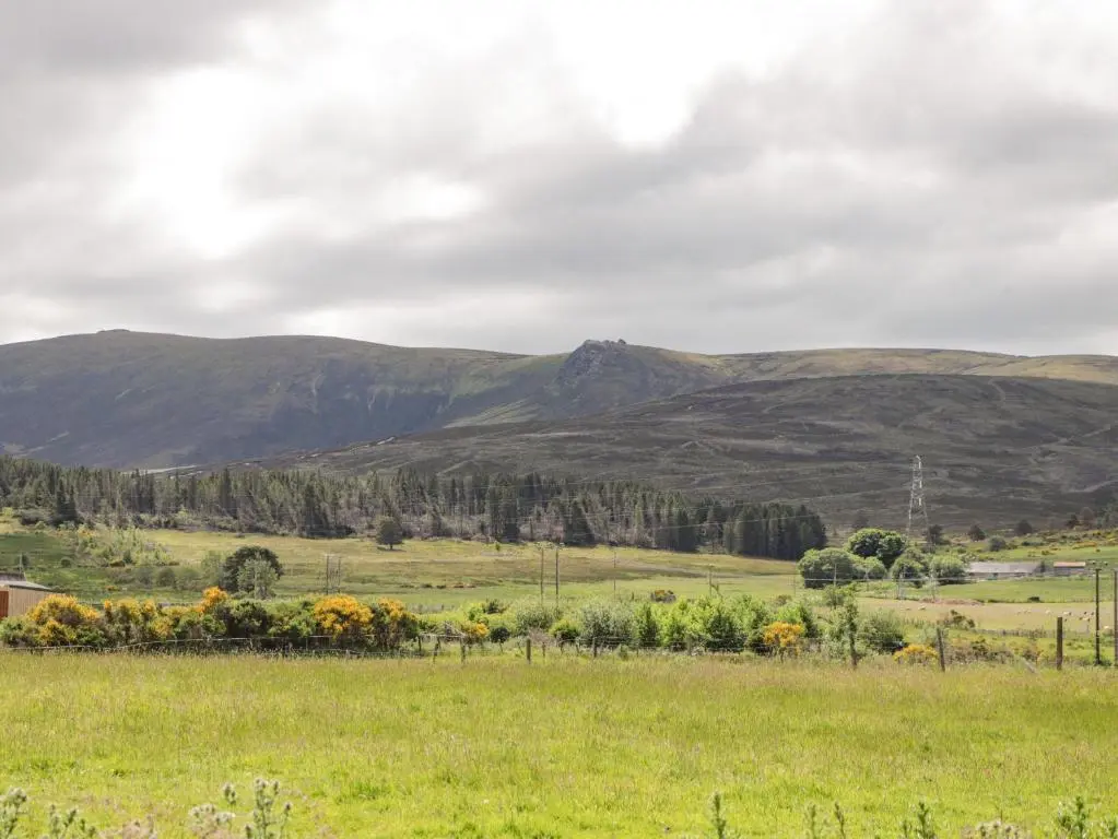 a field with mountains in the background at Moss of Bourach in Aberlour
