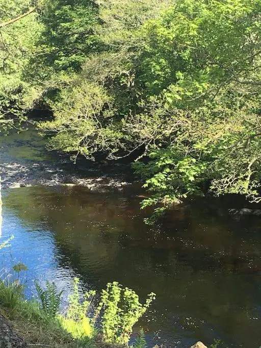 a stream of water with trees in the background at The Guest suite at Daviot ,Inverness in Inverness
