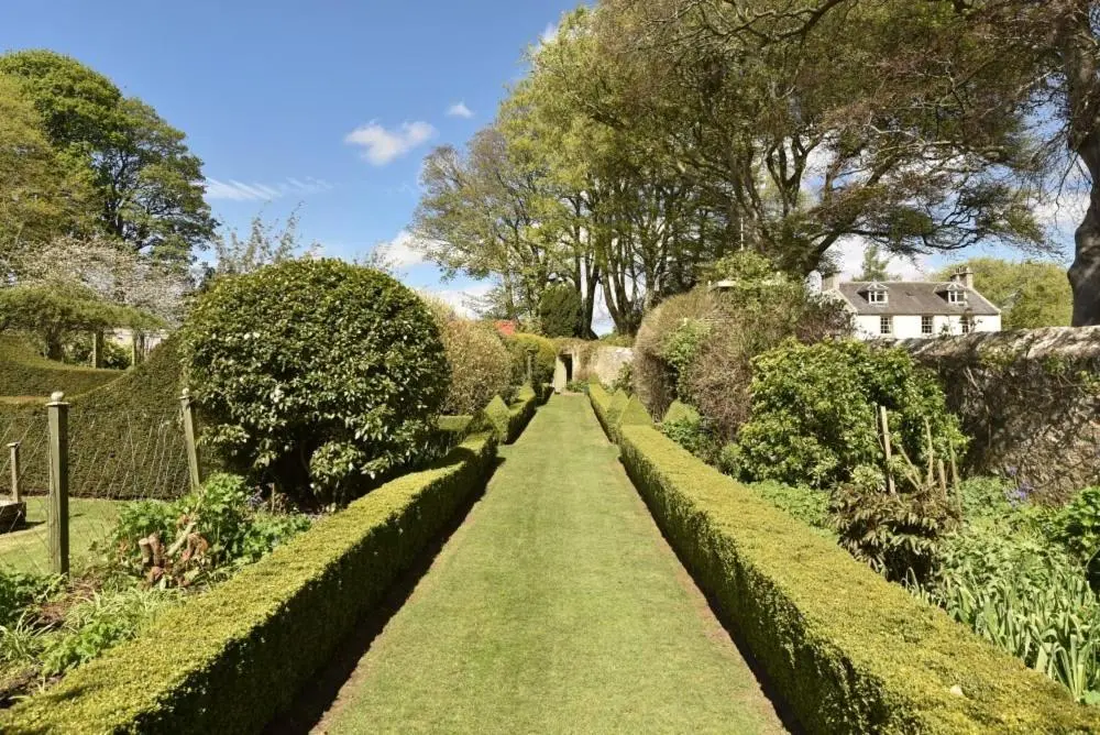 a row of hedges in a garden with a house at Gardener's Cottage in Elgin