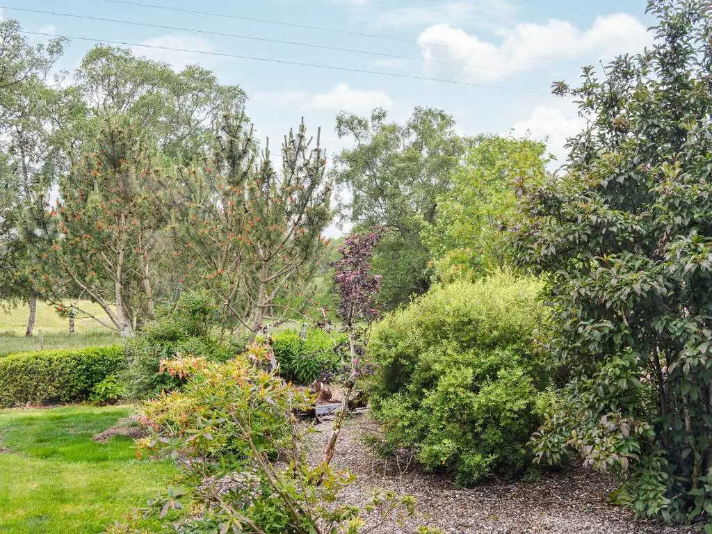a garden with bushes and trees in a field at Druids Knowe in Tarfside