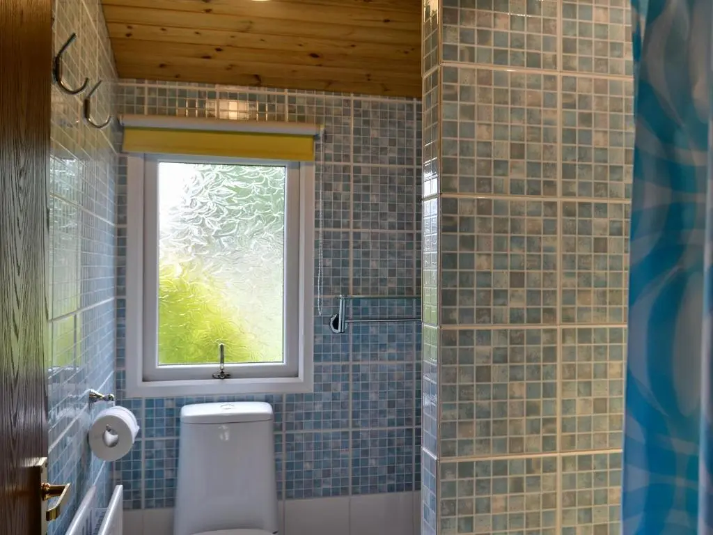a bathroom with a toilet and a window at Henrys Lodge in Balblair