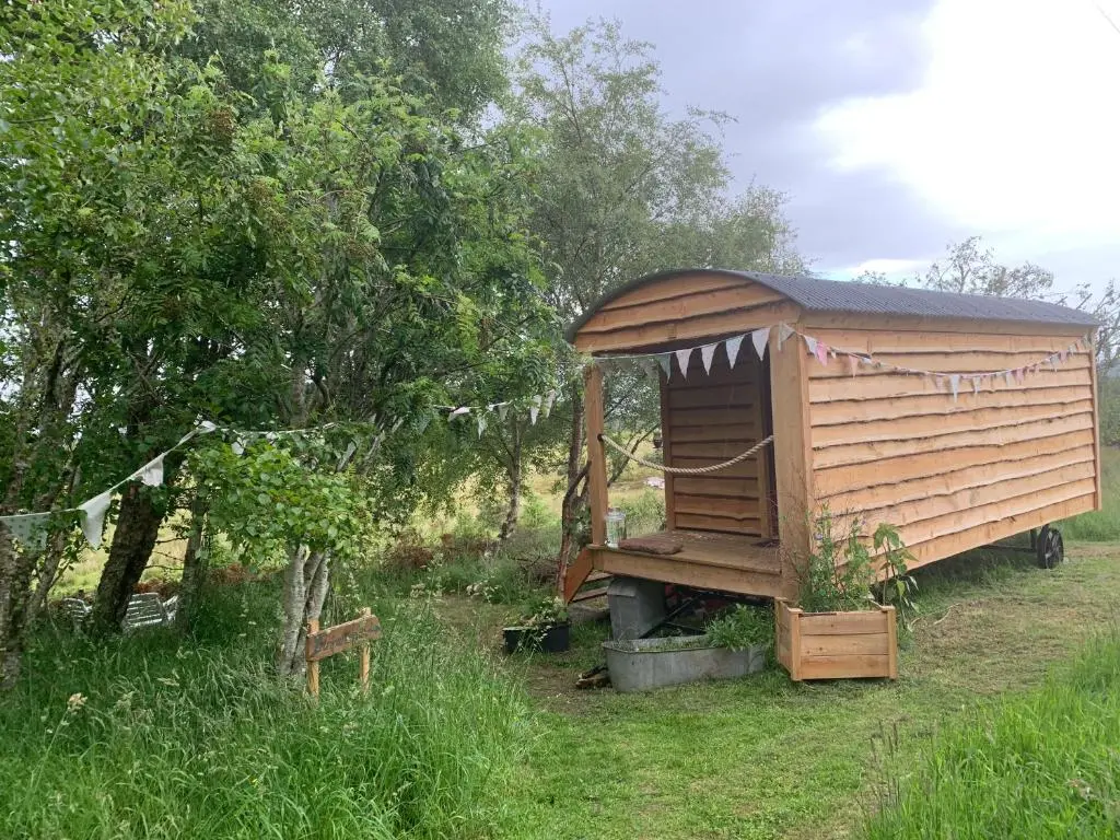 a large wooden out house in a field at Birkenshaw - Beautiful Shepherd\u2019s Hut in the Highlands. in Dornoch