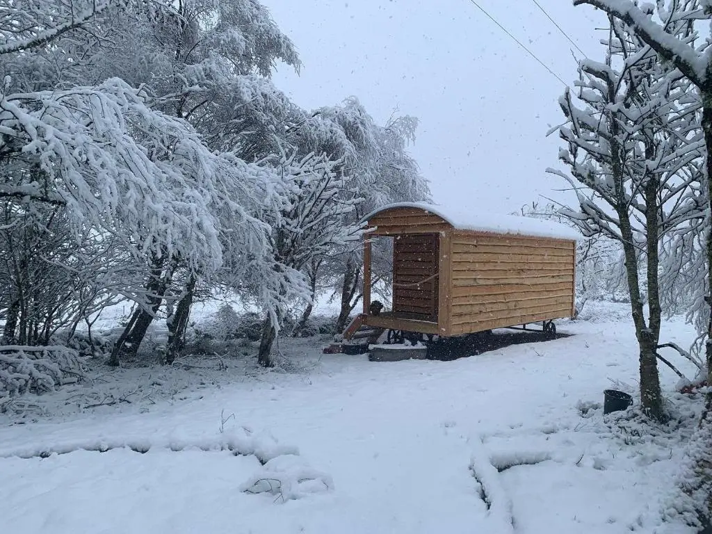 a wooden out house in the snow with trees at Birkenshaw - Beautiful Shepherd\u2019s Hut in the Highlands. in Dornoch