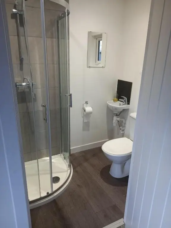 a bathroom with a shower and a toilet at Full Pint in Tain